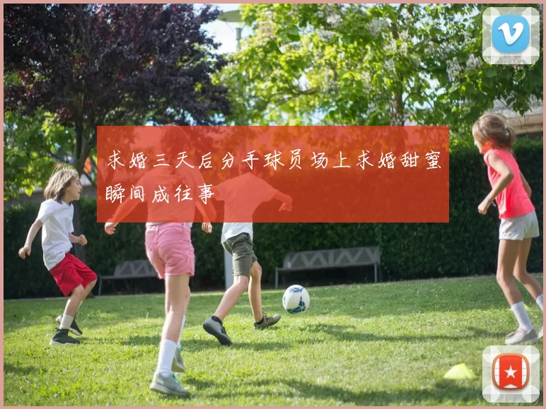 求婚三天后分手球员场上求婚甜蜜瞬间成往事